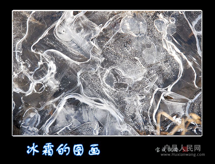 shuang (7).jpg