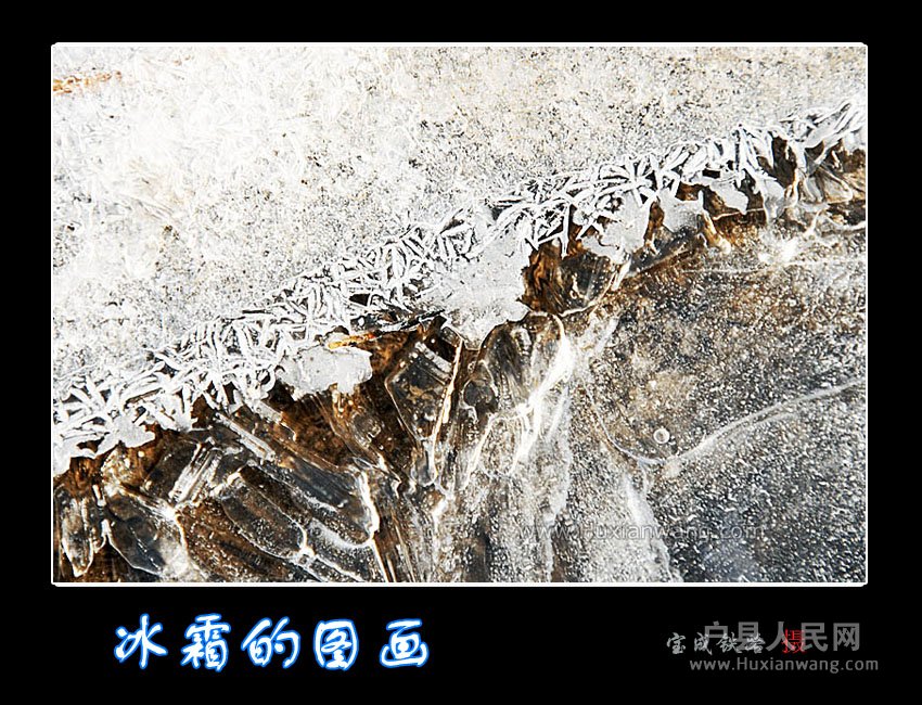 shuang (9).jpg