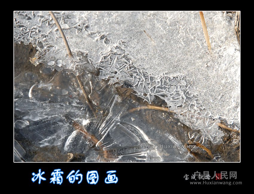 shuang.jpg