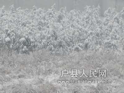 IMG_6742.jpg