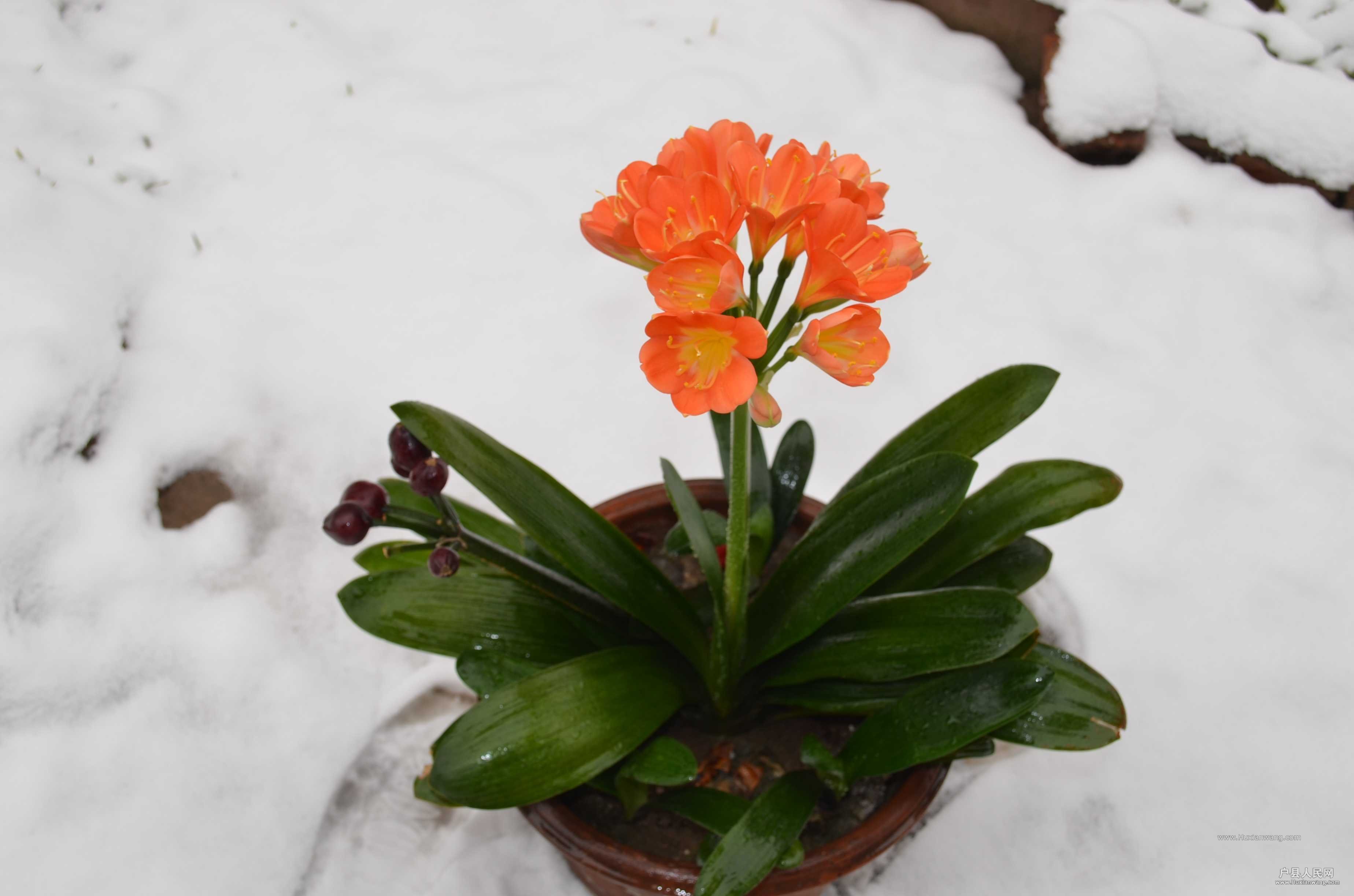 DSC_3895.JPG
