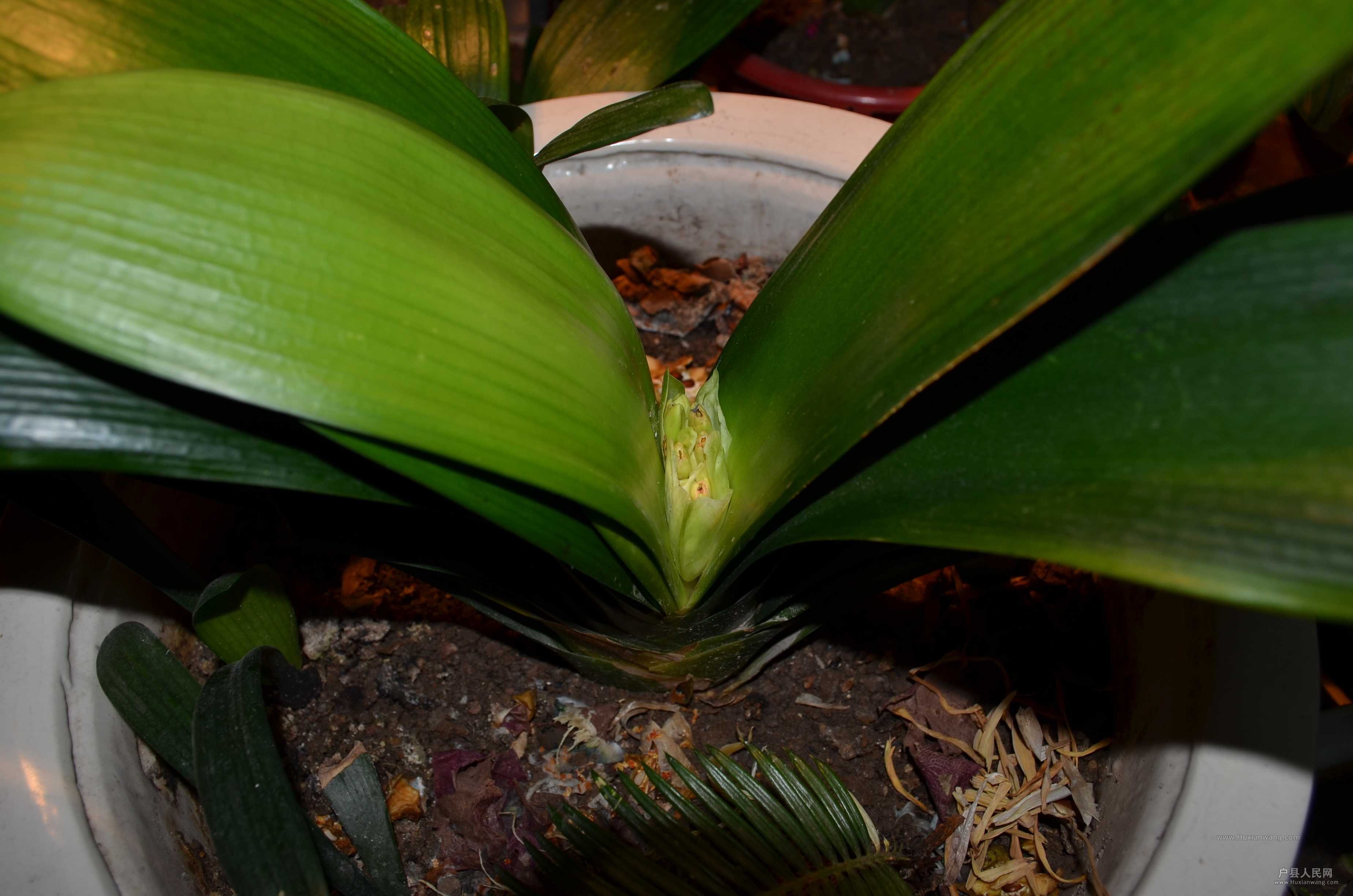 DSC_3691.JPG