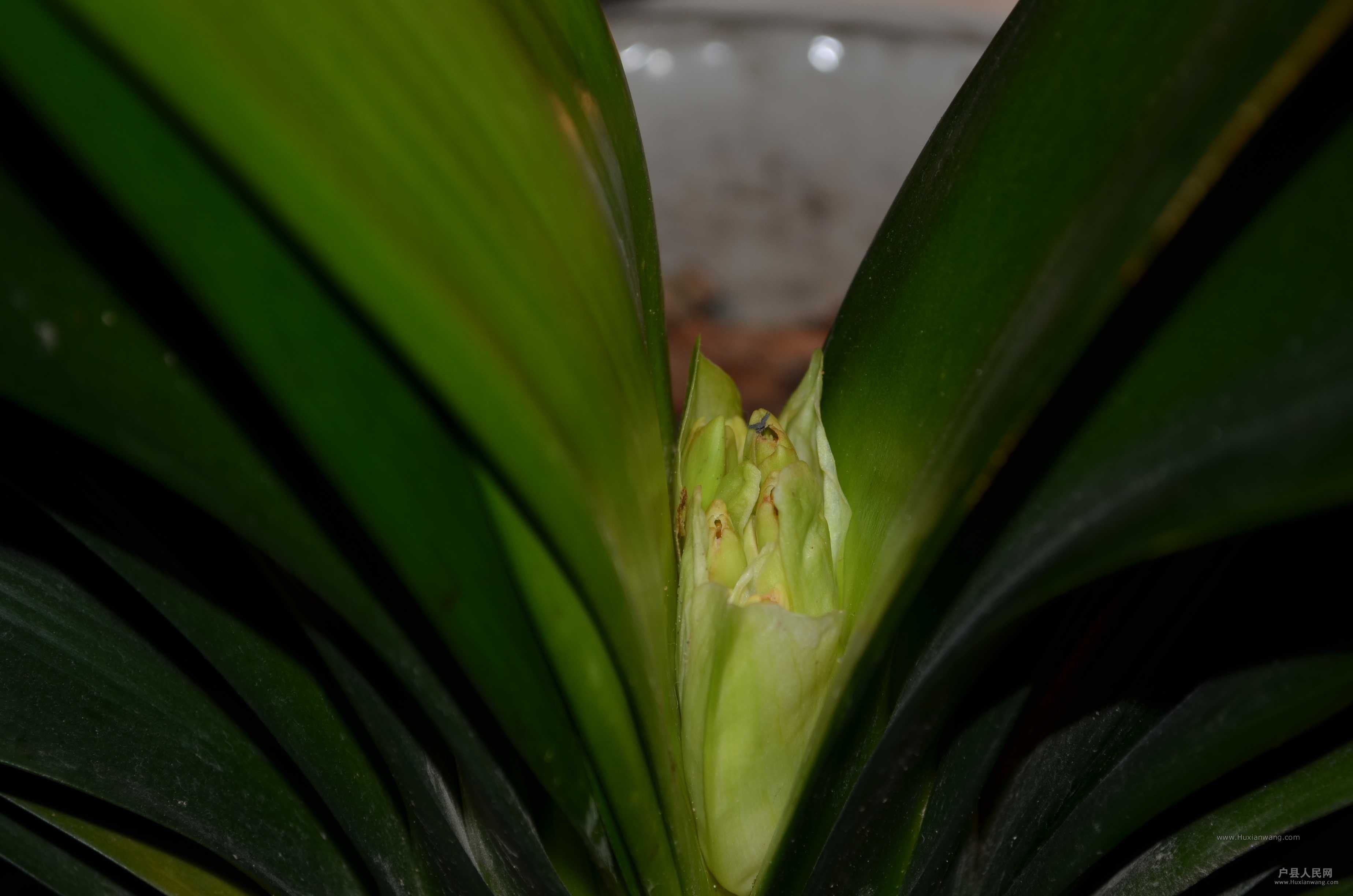 DSC_3688.JPG