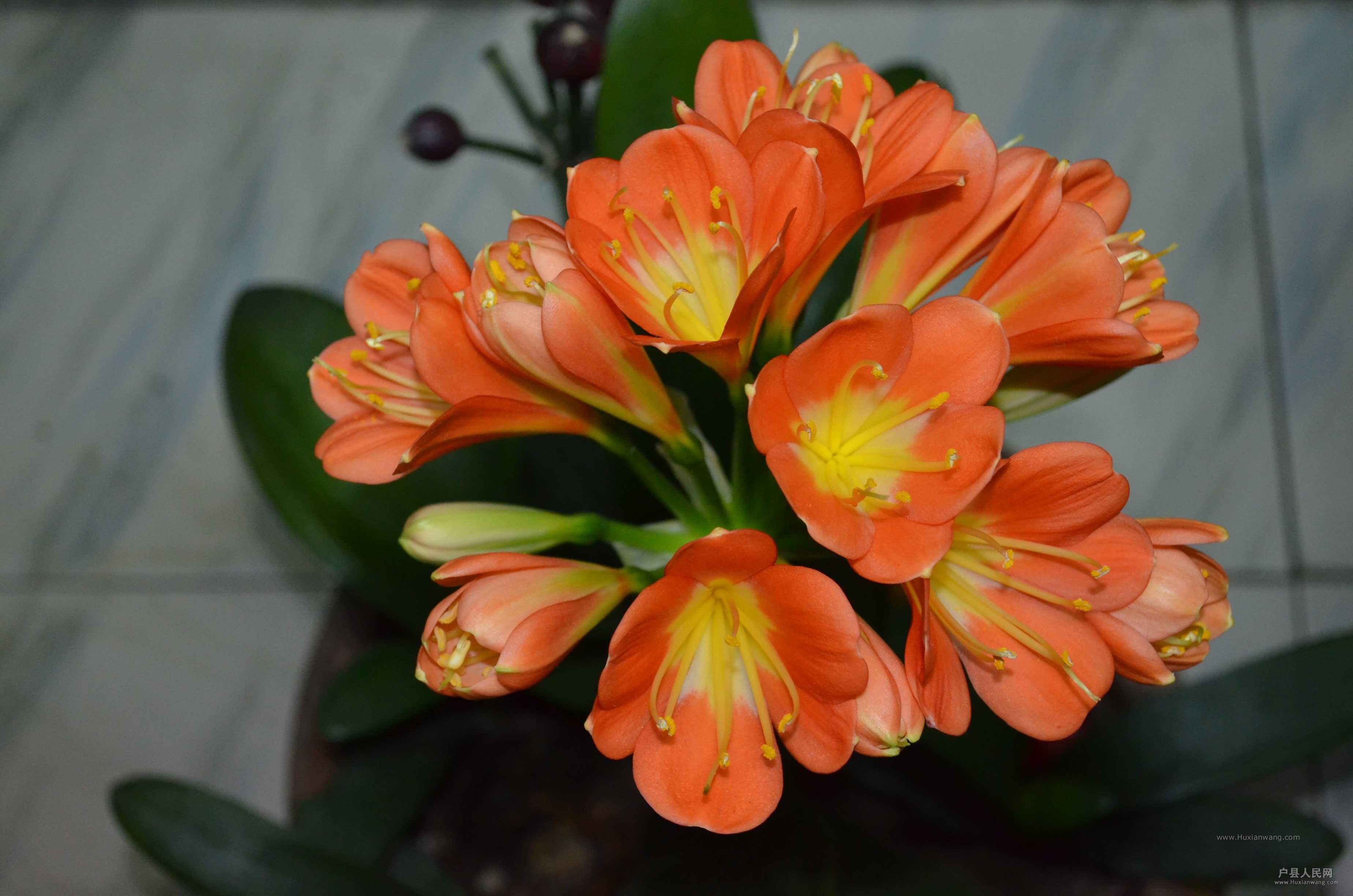 DSC_3842.JPG