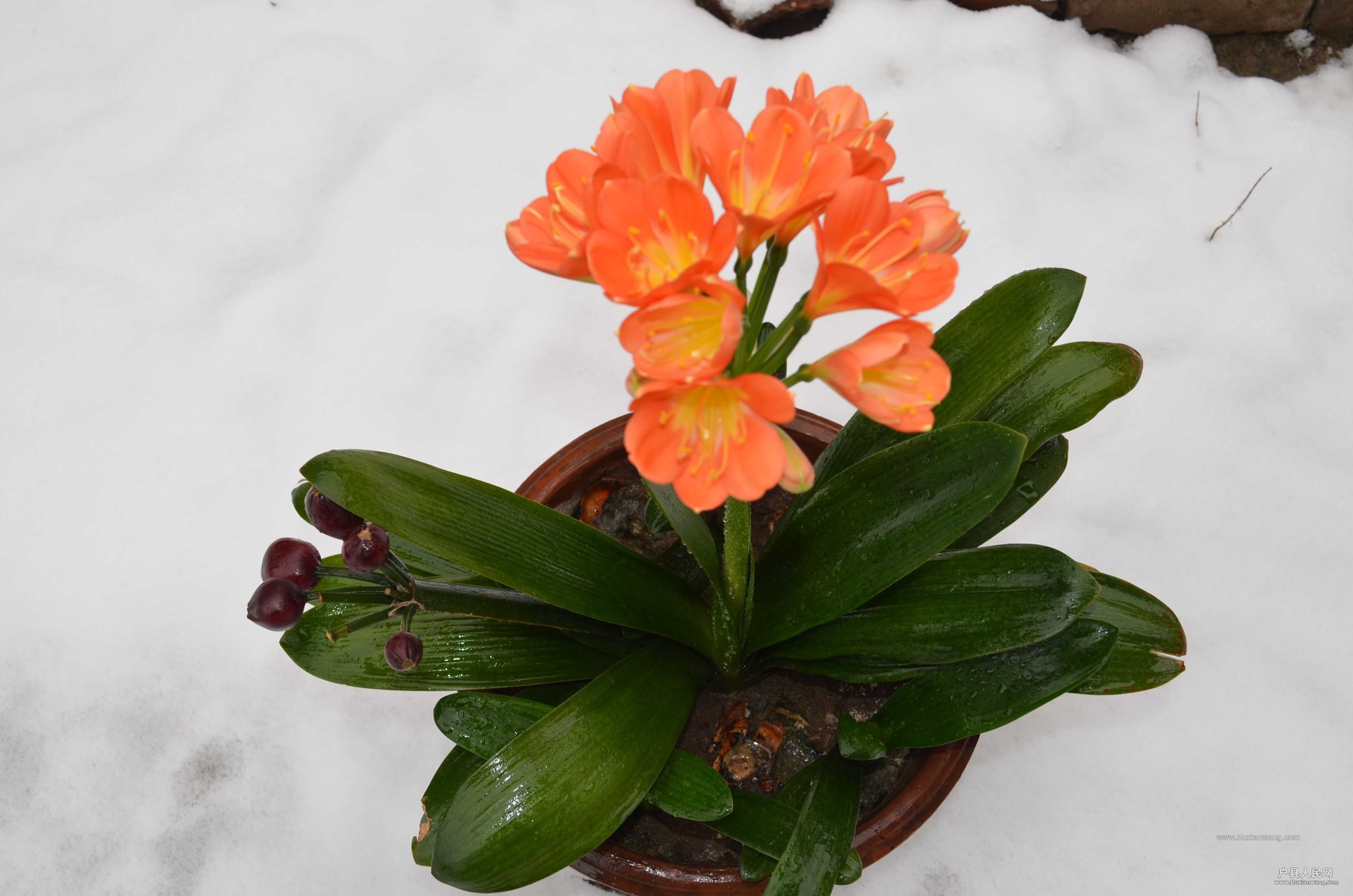 DSC_3894.JPG
