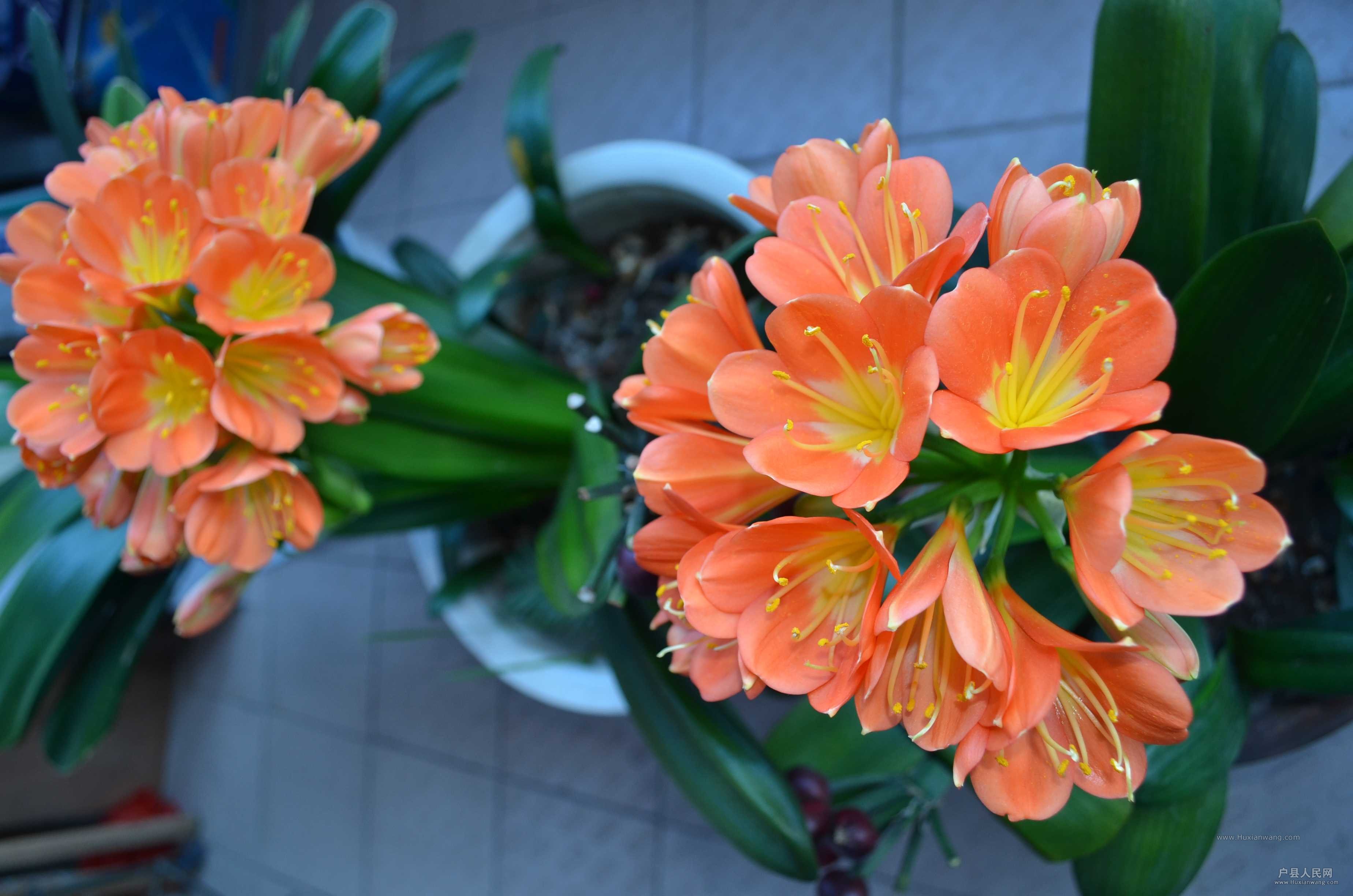 DSC_3967.JPG