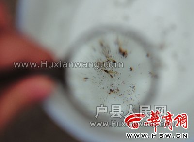 001372d8a255128bad4f12.jpg