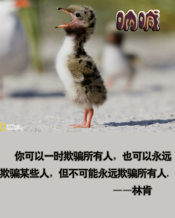 1360829224323.gif