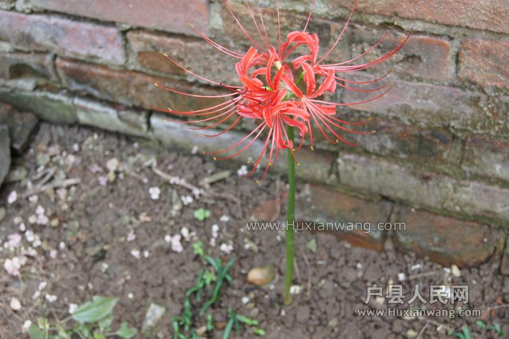 DSC00534.JPG