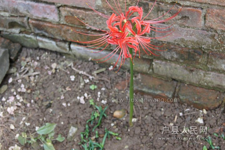 DSC00535.JPG
