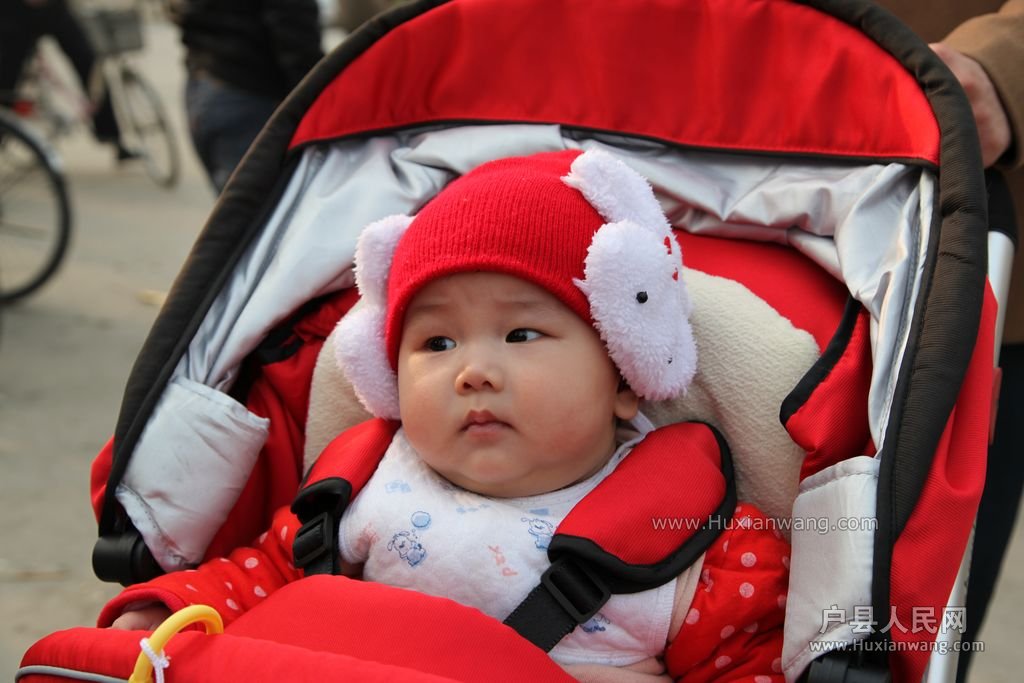 IMG_1988 [ֱ].JPG