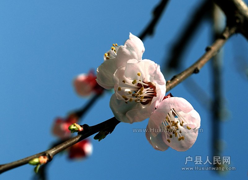 ӻ (2).jpg