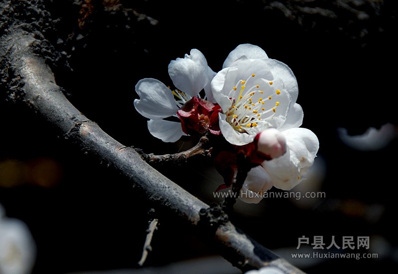 ӻ (3).jpg