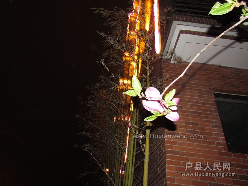 IMG_4758.jpg