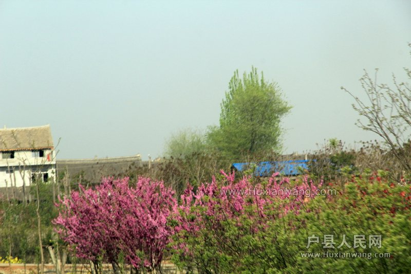 IMG_4565.JPG
