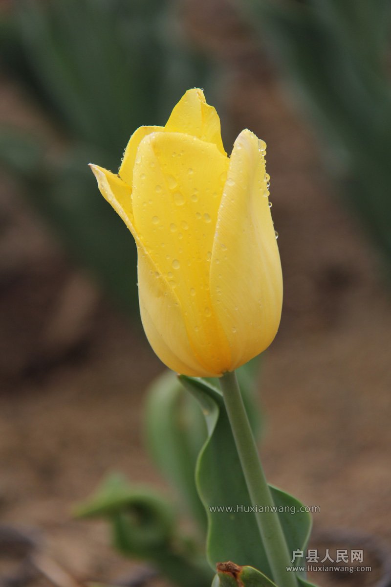 IMG_4825.JPG