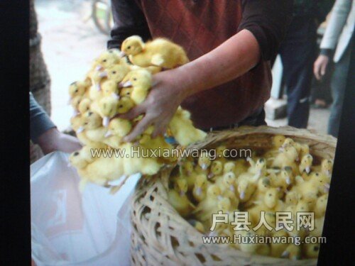 IMG20130413112119.jpg