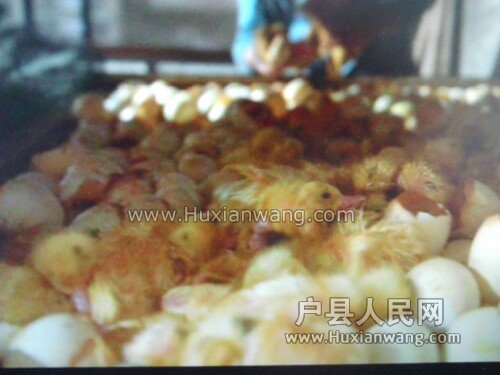 IMG20130413112138.jpg