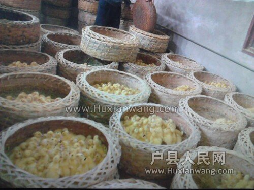 IMG20130413112157.jpg
