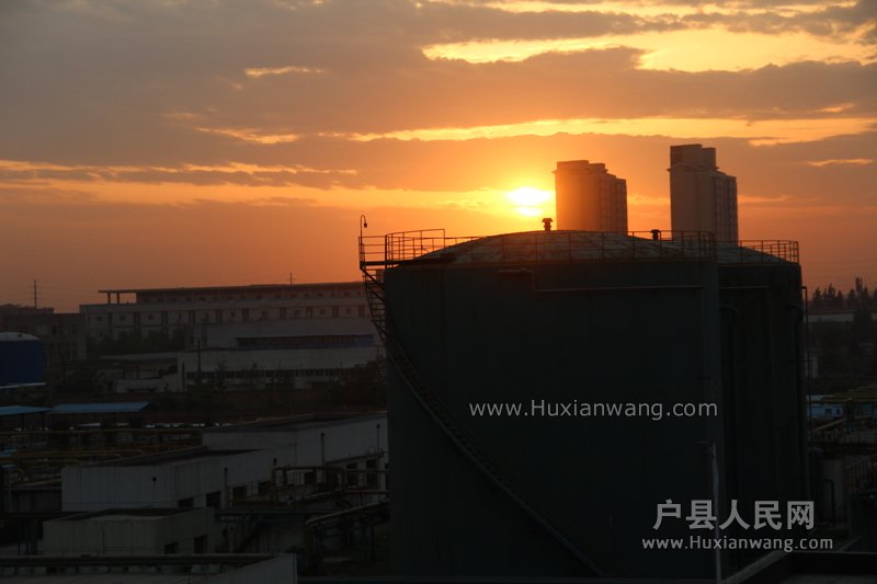 IMG_7348.JPG