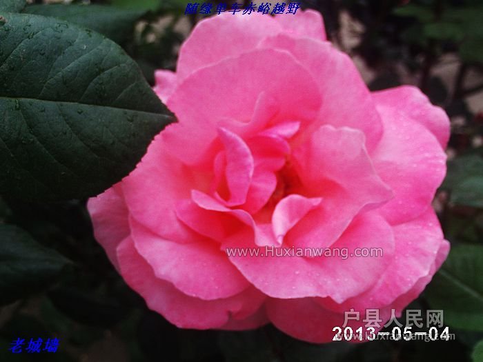 nEO_IMG_PHOT0074.jpg