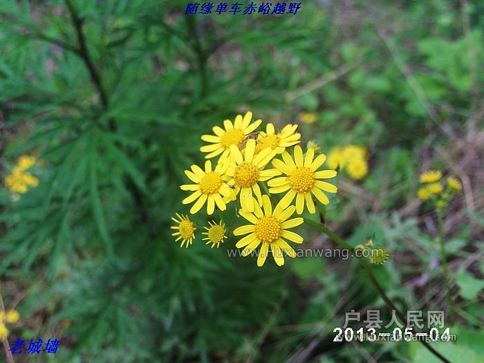 nEO_IMG_PHOT0098.jpg