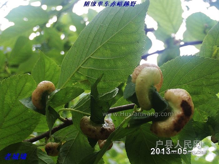 nEO_IMG_PHOT0099.jpg