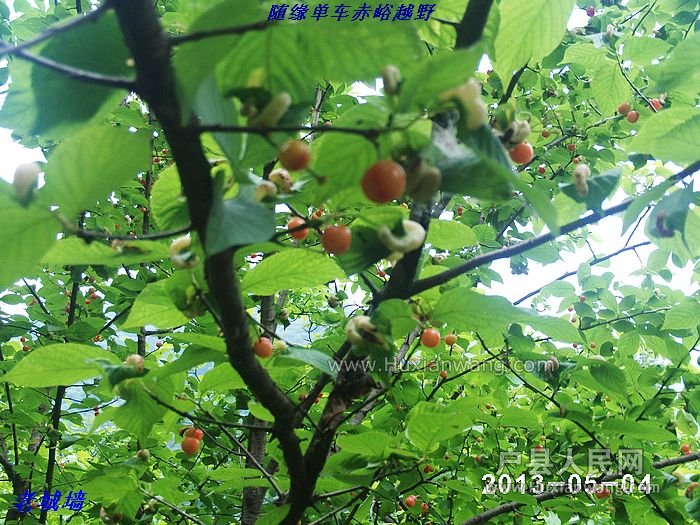 nEO_IMG_PHOT0100.jpg
