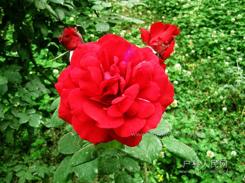 IMG_8744_.jpg