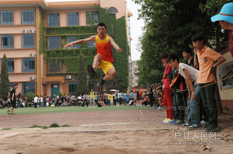 7.gif