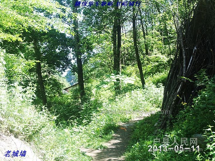 nEO_IMG_PHOT0030.jpg