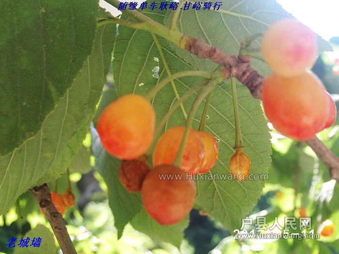 nEO_IMG_PHOT0042.jpg