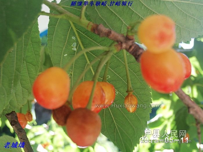 nEO_IMG_PHOT0043.jpg