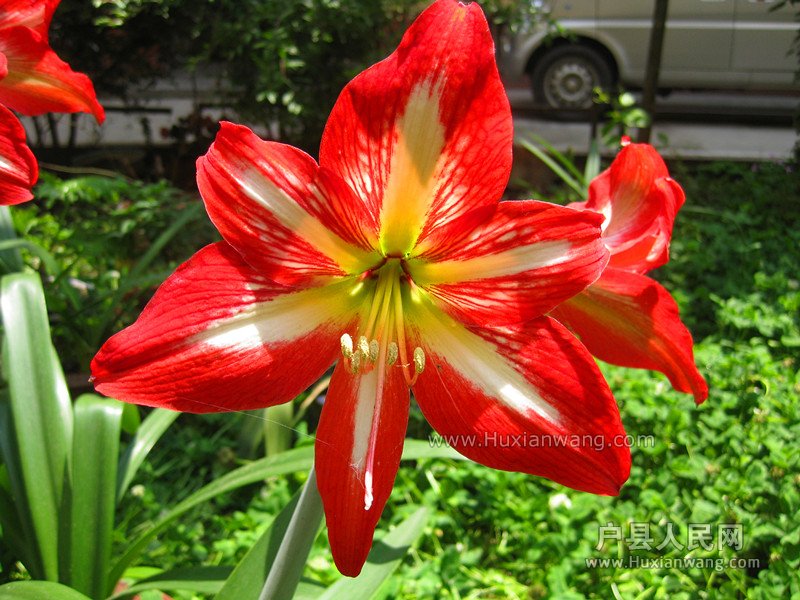 IMG_8817_.jpg