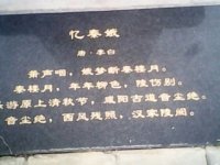psbCAVG3120.jpg