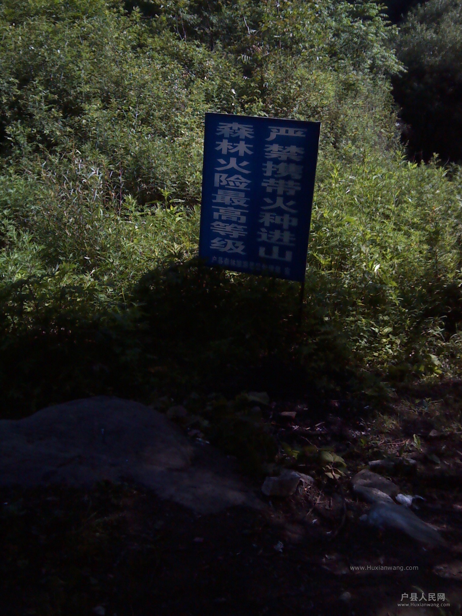 IMG_20130612_091552.jpg