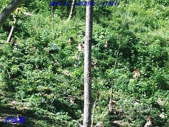 nEO_IMG_PHOT0278.jpg