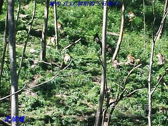 nEO_IMG_PHOT0294.jpg