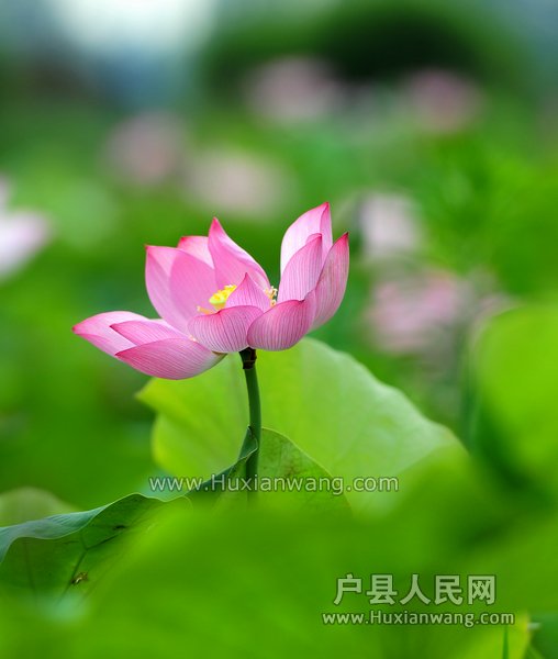 DSC_3078.jpg