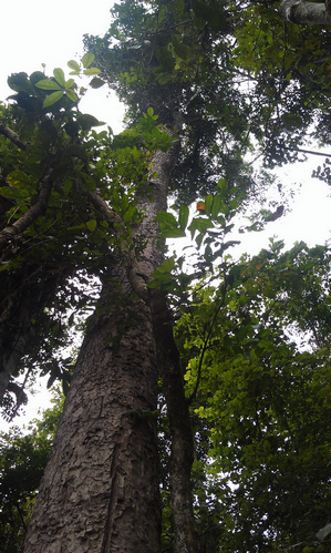 IMAG0523.jpg
