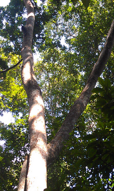 IMAG0759.jpg