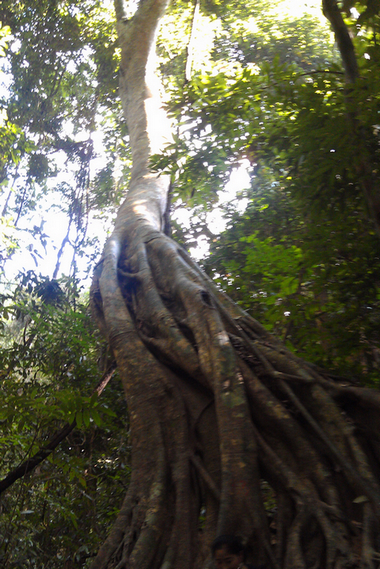 IMAG0768.jpg