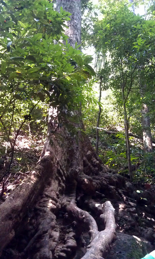 IMAG0776.jpg