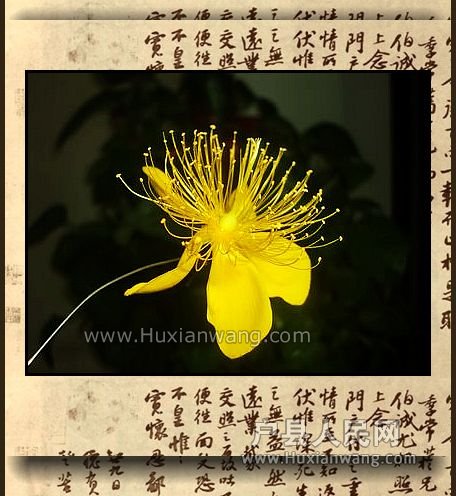 nEO_IMG_CIMG9038.jpg