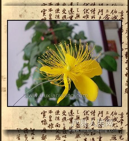 nEO_IMG_CIMG9039.jpg