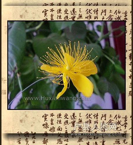 nEO_IMG_CIMG9040.jpg