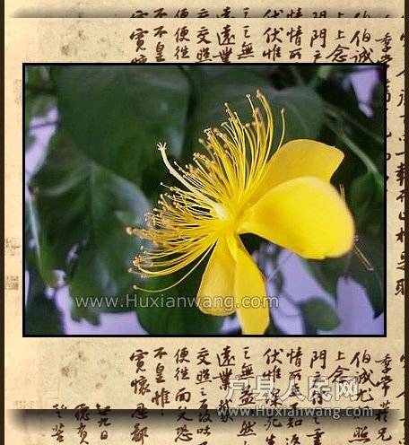 nEO_IMG_CIMG9043.jpg