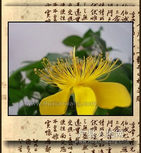 nEO_IMG_CIMG9052.jpg