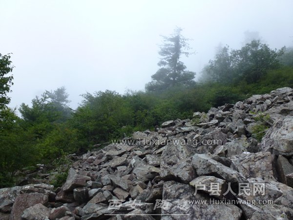 P1060405.jpg