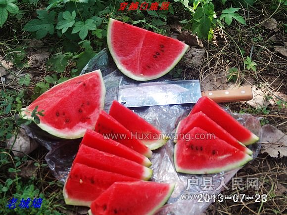nEO_IMG_PHOT0050.jpg